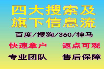 探索专业SEM托管的奥秘：从案例看效果